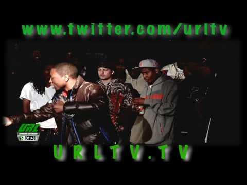 Calicoe vs NuBorn